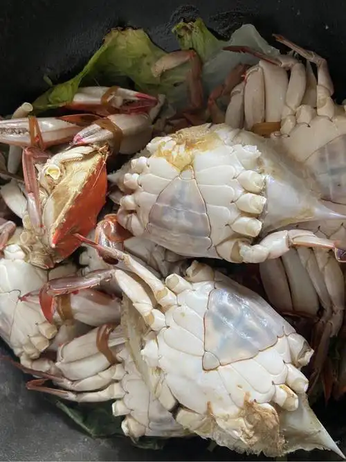 舟山海鲜梭子蟹螃蟹02做法