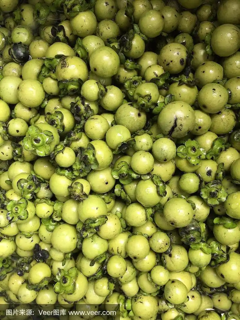 新鲜成熟的黑檀木果实为泰国本土丝绸或织物染色