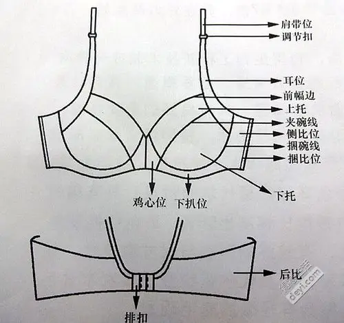 图文开八内衣挑选要点----我的身材我做主,人人都可以做内衣达人