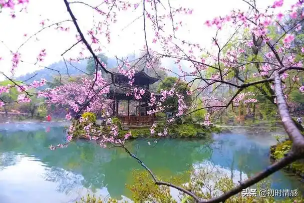 心有桃花源,安坐水云间,让心宁静的(情感美文)