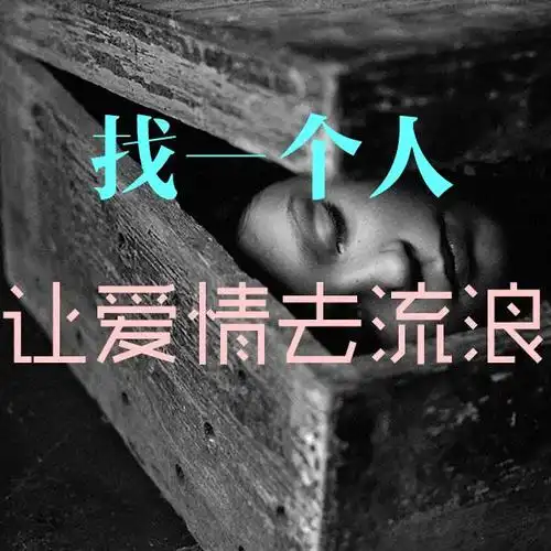 找一个人,让爱情去流浪