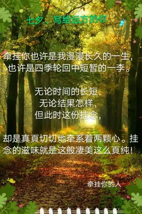 放不下的牵挂,忍不住的诉说,想念的心似被揪扯着疼,想你想你又是一个