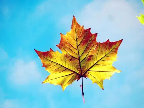 黄兴公园晚霞 夕照天水一色 20201206 益铭 - 美篇