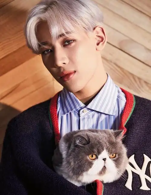 求bambam这张图出处05已找到