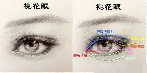 相面中属于桃花眼.