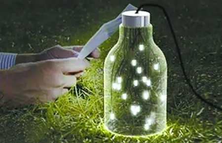 萤火虫的缤纷世界