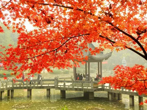 南京栖霞山图片南京风景图片