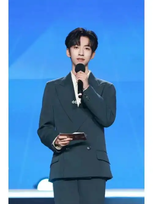 青年主持人贺峻霖