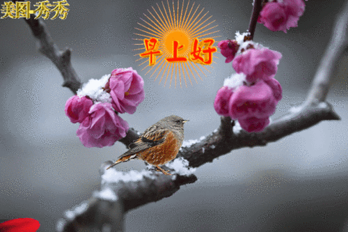 邀月窗前共酒杯 寻词再颂雪中梅