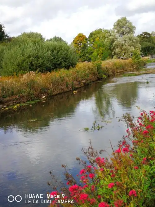小溪穿过村庄自然成了不错的风景.
