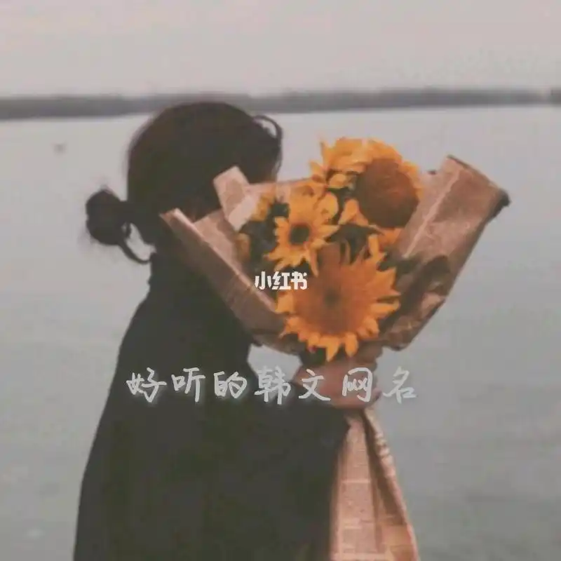 温柔好听的韩文网名