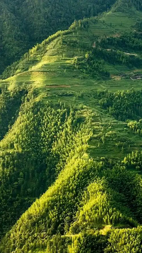 唯美护眼自然风景,高清图片,手机锁屏桌面-壁纸族