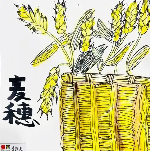 78创意美术麦穗