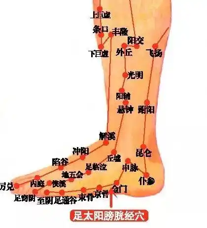 经络身体侧面的痛苦都找胆经