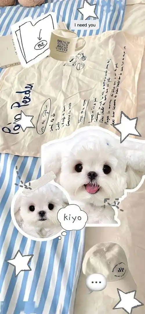 精选手机壁纸 | 全面屏壁纸 | iphone壁纸