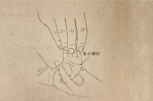 【每日穴习】治疗哮喘,揉掌小横纹