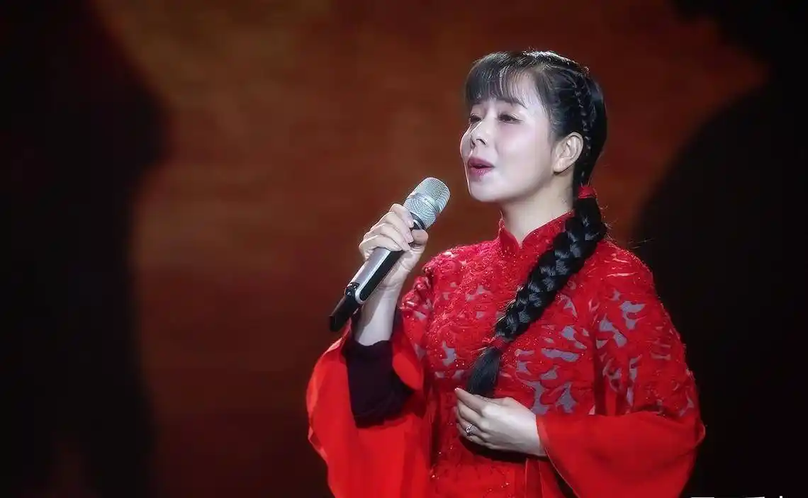 《星光大道》冠军,因没钱在城里买房,只好回农村过种地生活_王二妮