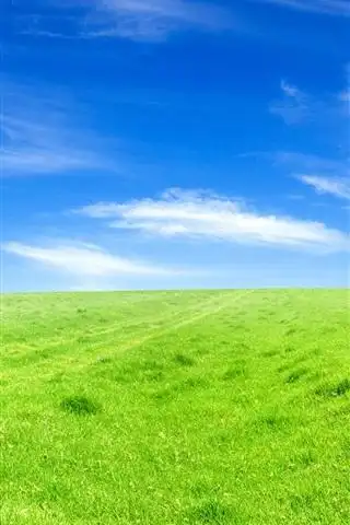 壁纸 碧绿的草 蓝蓝的天 1920x1200 hd 高清壁纸, 图片, 照片