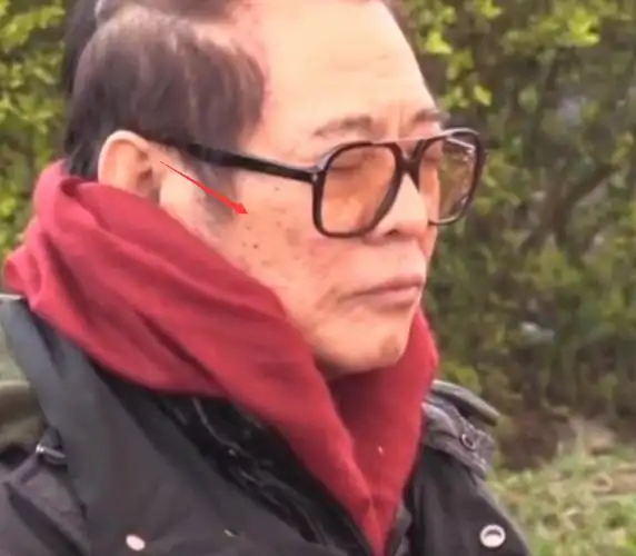 李连杰近照引热议,满脸老年斑脱发严重,利智也老了,难以认出