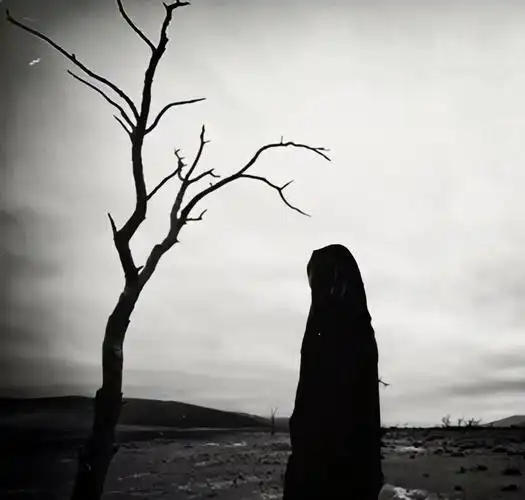 是重重叠叠着生命的印迹,亲人不再,知音的离去,情感的褪色,爱情的绝望