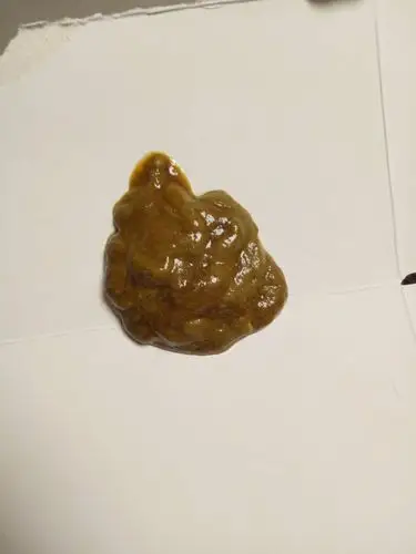 狗狗拉稀,黄色,还有白色东西