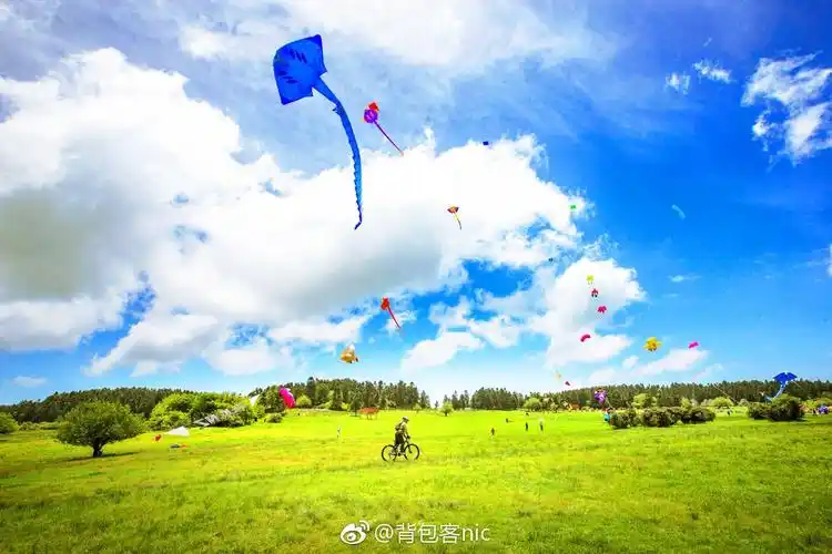 一起去重庆武隆,放飞自我吧