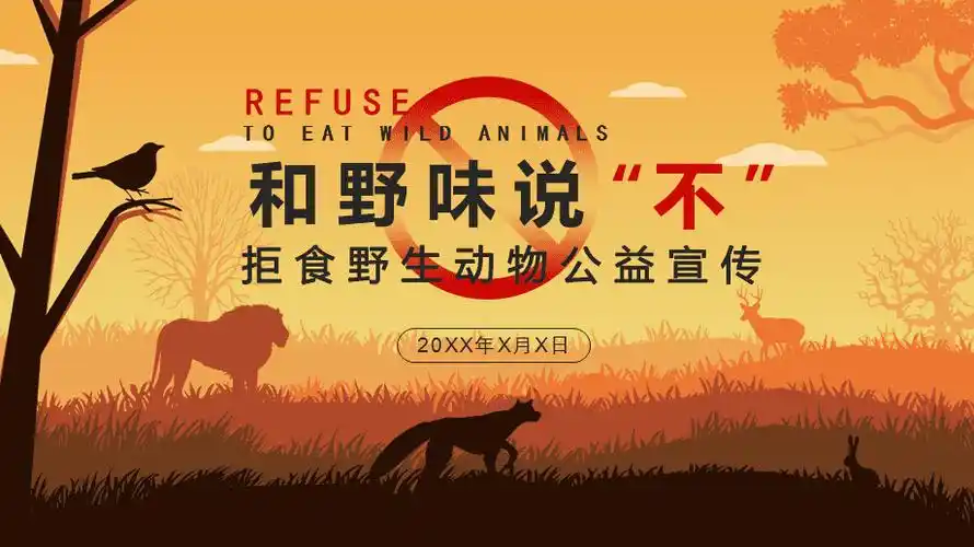 简约风保护野生动物宣传教育ppt模板课件
