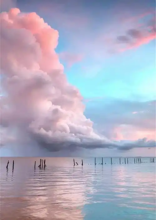 海边唯美小清新治愈大气磅礴摄影人物植物怀旧封面风景