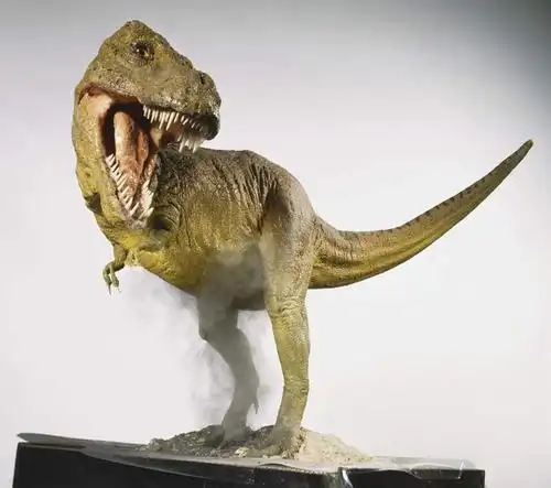 灯光,注视,墙壁,墙面,一只,观察,回头,看,站着,张嘴,转头,摄影,恐龙