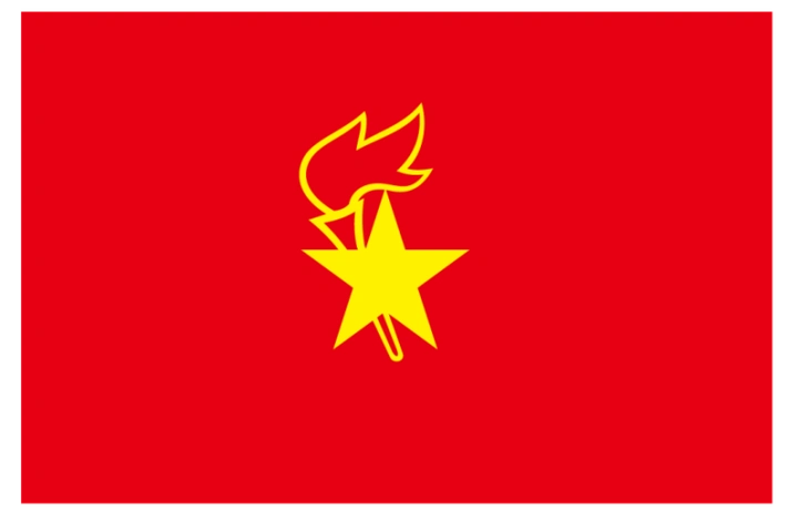 高举队旗 童心向党——中国少年先锋队清丰县和义路小学大队委第一次