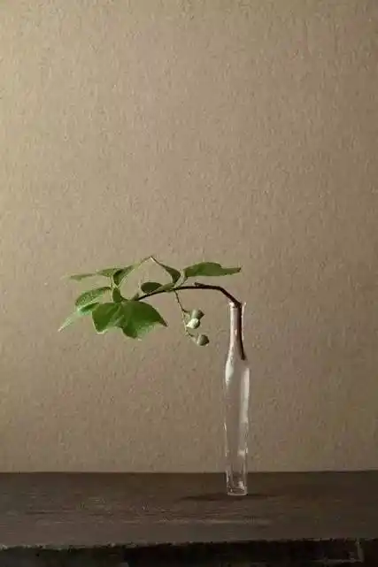 禅意意境插花艺术