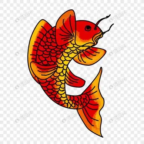 红鲤鱼简笔画红鲤鱼简笔画图片彩色