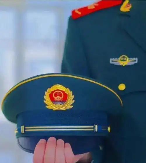 武警新帽徽很大气庄重, 如果把松枝再缩小一点那就更完美了