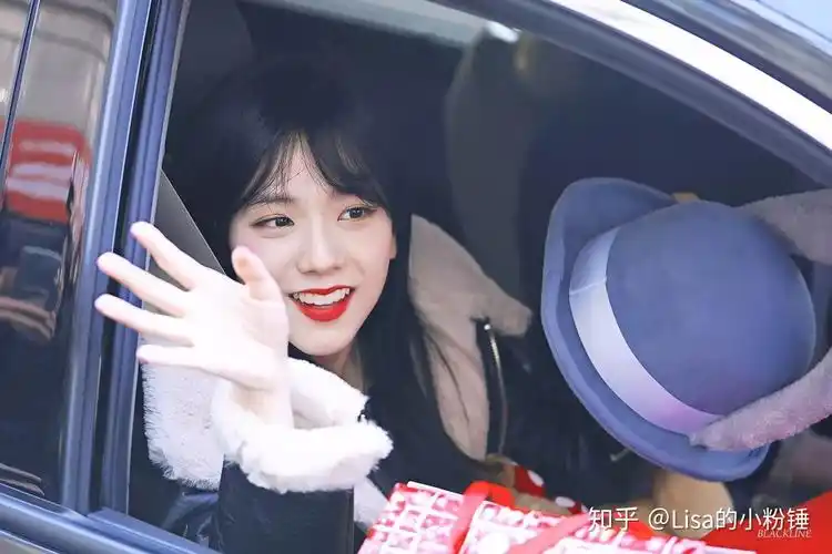 想问一下有没有jisoo的电脑壁纸