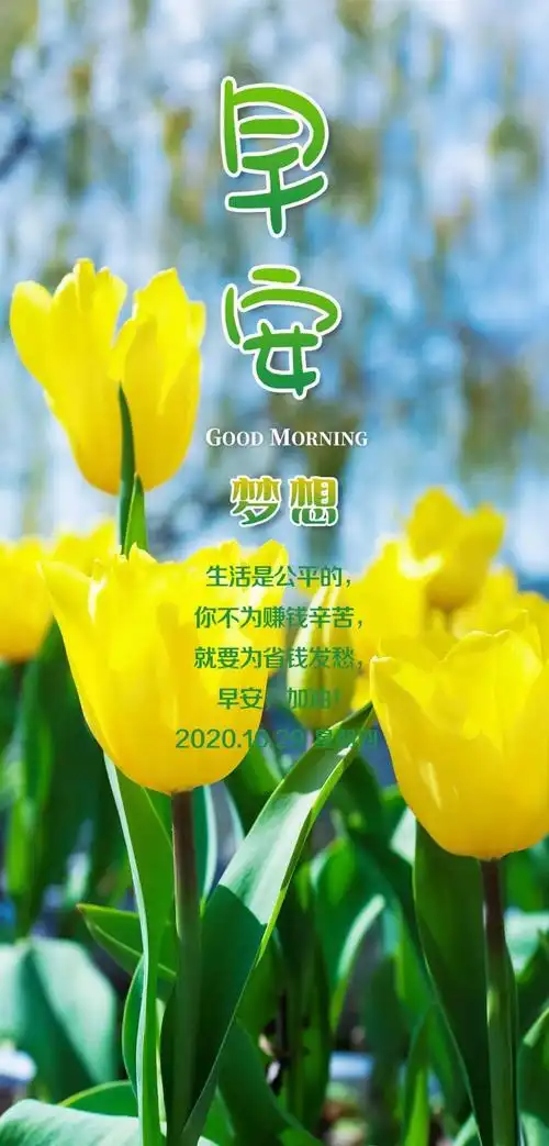 10月29日早安心语正能量优美的语句经典唯美早上好图片带字正能量