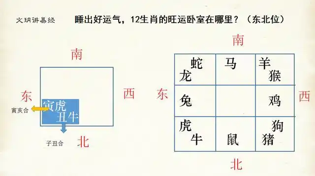 我画了一张图,九宫八卦图,这里的属相的位置,是永恒守在那里不运的.