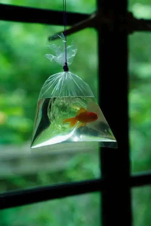 绿色护眼壁纸背景图