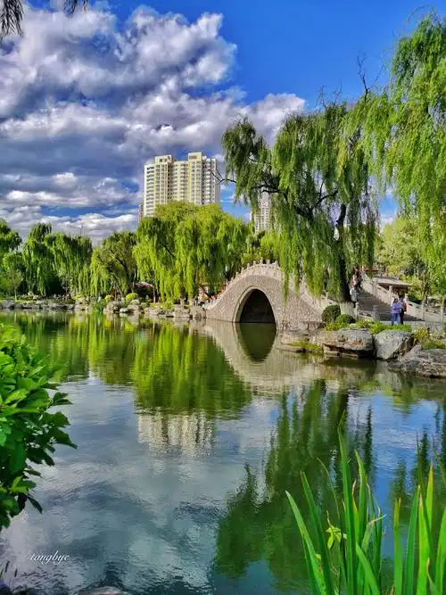 西宁人民公园夏天的美景