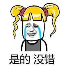是的没错!(金馆长表情)