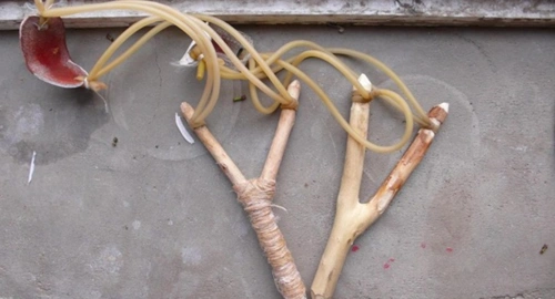 80后重拾儿时的回忆