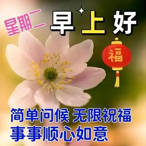 清晨早上好问候祝福表情图片