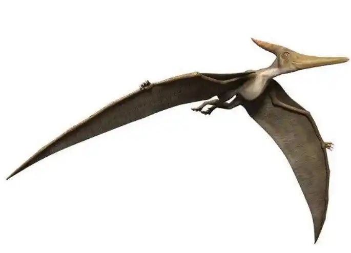 远古时期的天空之王风神翼龙到底有多厉害