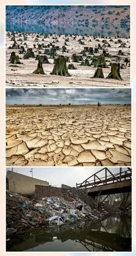 可是人类正在对自然环境无情的破坏