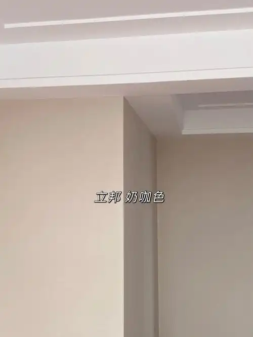 都是在小红书安利的颜色 很喜欢客厅 奶咖色/主卧珊瑚色/次卧灰蓝色