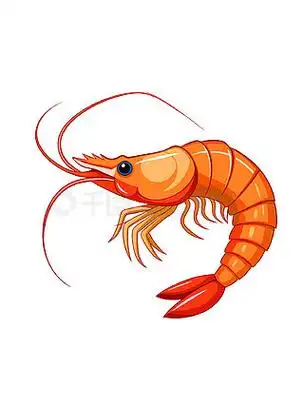 矢量动物红色大虾