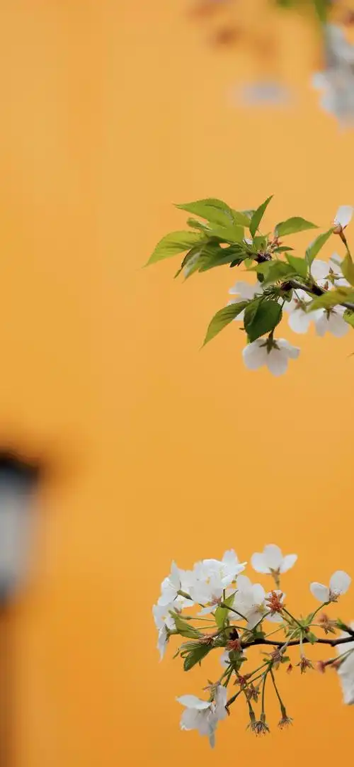 小清新/天空晚霞/横屏壁纸/锁屏壁纸/手机壁纸ins/高清壁纸/背景图