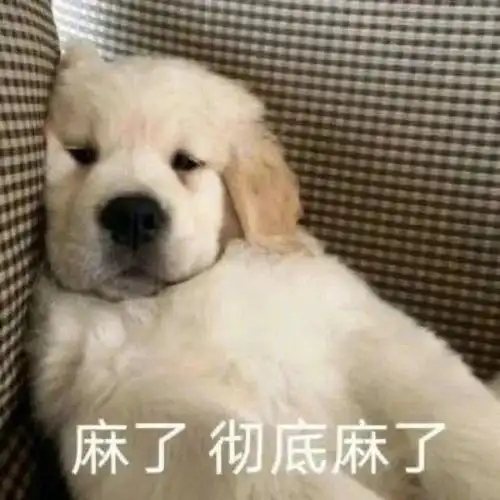 表情包聊天必备的沙雕套路表情包