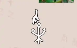 暴力解剖甲骨文-采