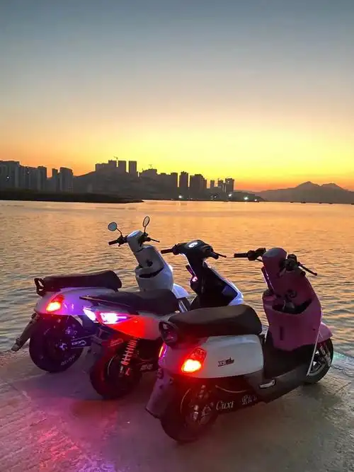 小牛电动电动车