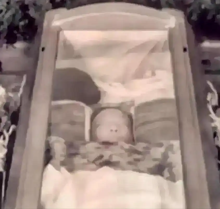 一张罕见的遗容照片,在这一年被公之于众,让人们再次回忆起这位艺术